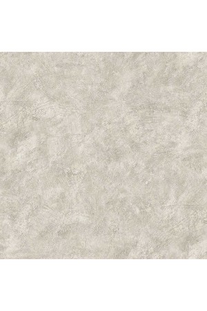 Adawall 3717 serıe | kaba boya gibi duvar kağıdı doku (3717-1 : gümüş, beyaz)